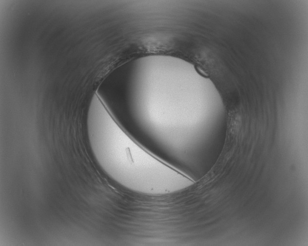 X0000055970471200508190708
