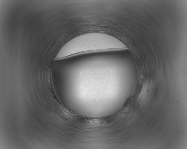 X0000055970473200508190708