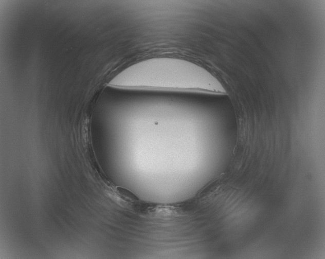 X0000055970475200508190708