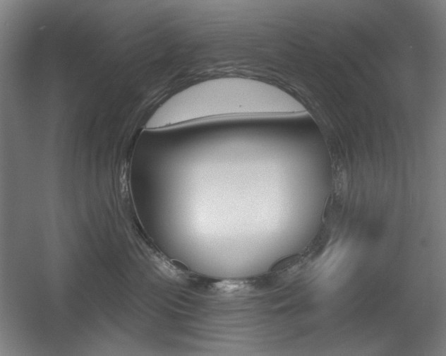 X0000055970477200508190708