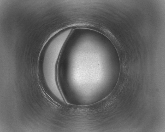 X0000055970484200508190707