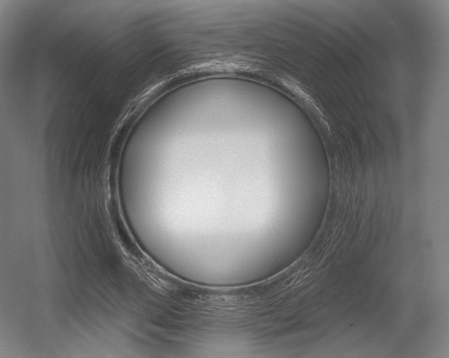 X0000055970486200508190707