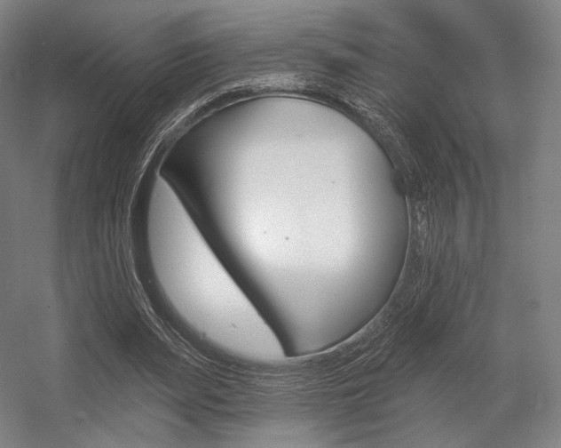 X0000055970487200508190707