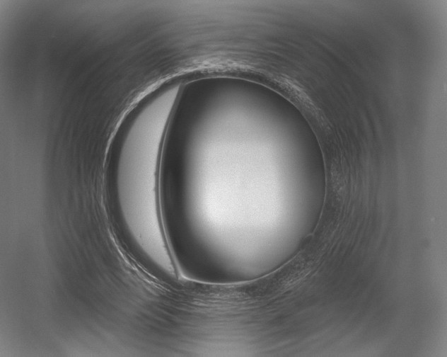 X0000055970488200508190707