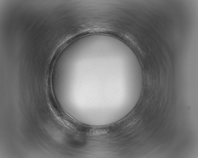 X0000055970491200508190707