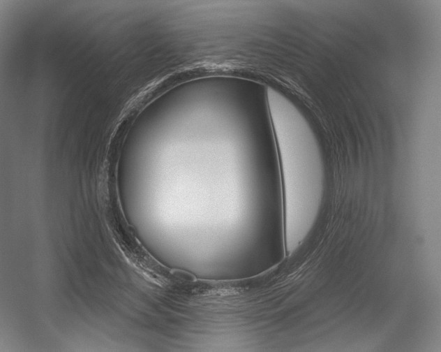 X0000055970492200508190707