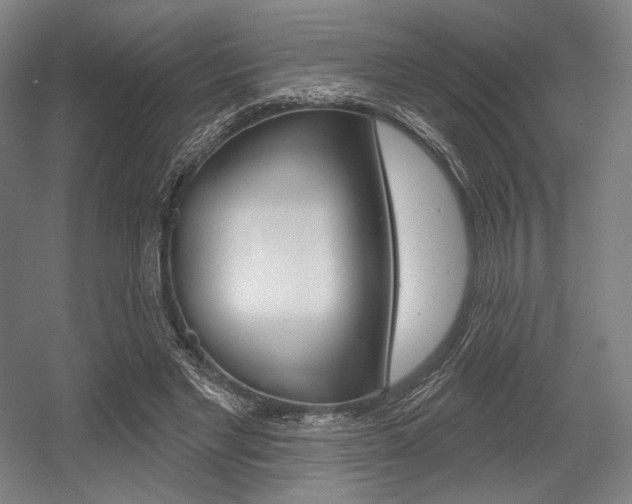 X0000055970493200508190707