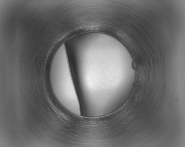 X0000055970494200508190707