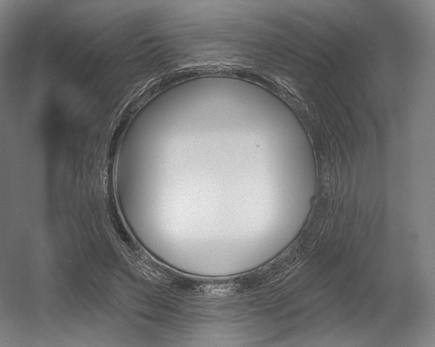X0000055970495200508190707