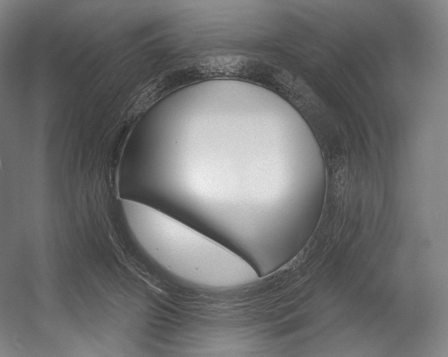 X0000055970498200508190707