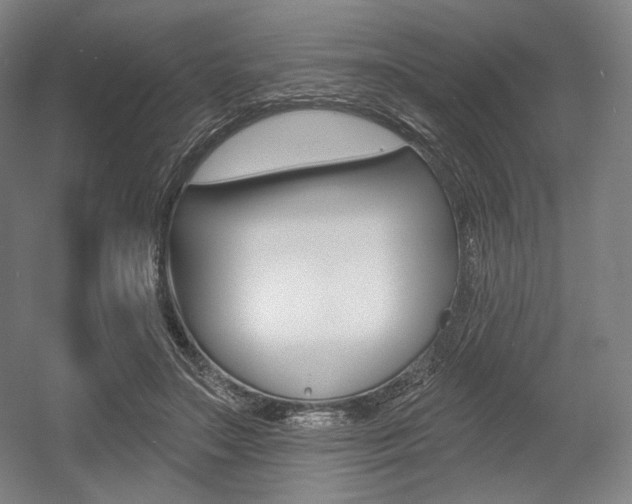 X0000055970499200508190707