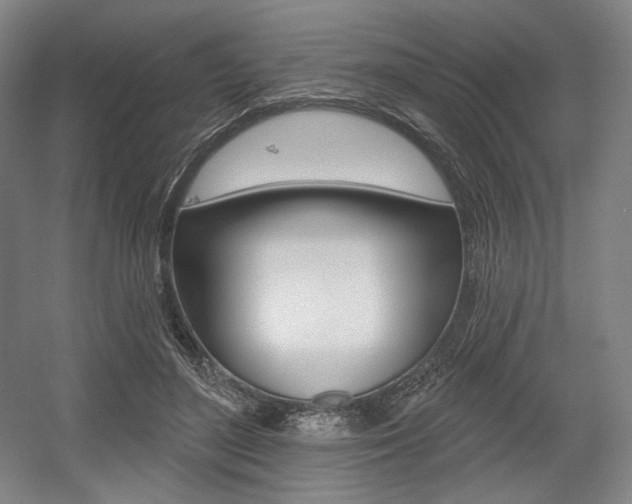 X0000055970500200508190707