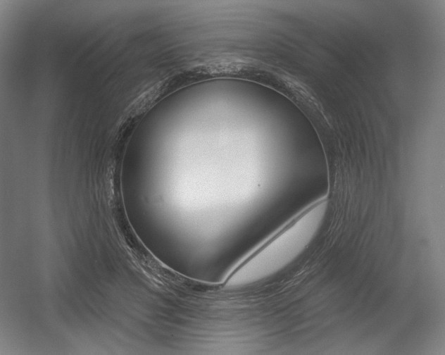X0000055970501200508190707