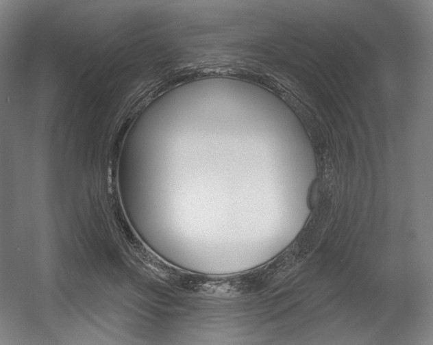 X0000055970502200508190707