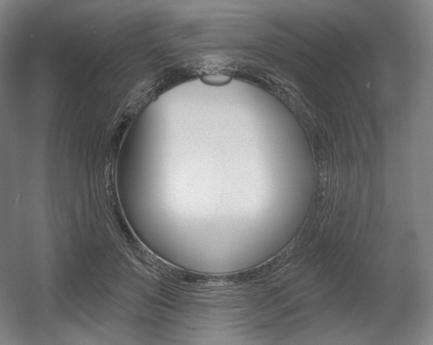 X0000055970503200508190707