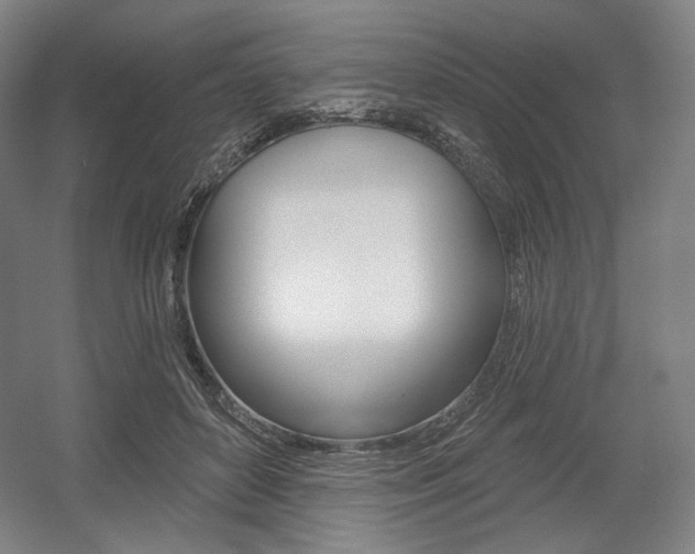 X0000055970504200508190707