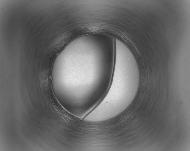 X0000055970505200508190707