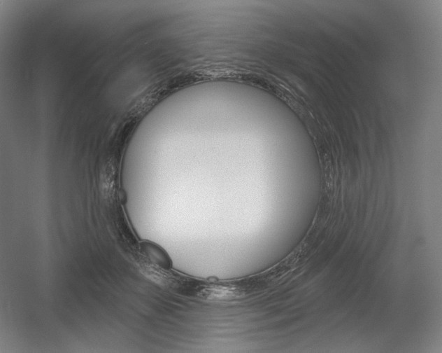 X0000055970507200508190707