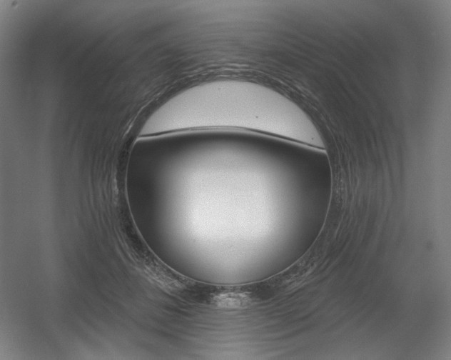 X0000055970508200508190707
