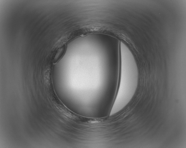 X0000055970509200508190707
