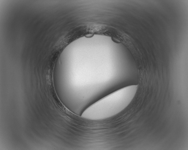 X0000055970510200508190707