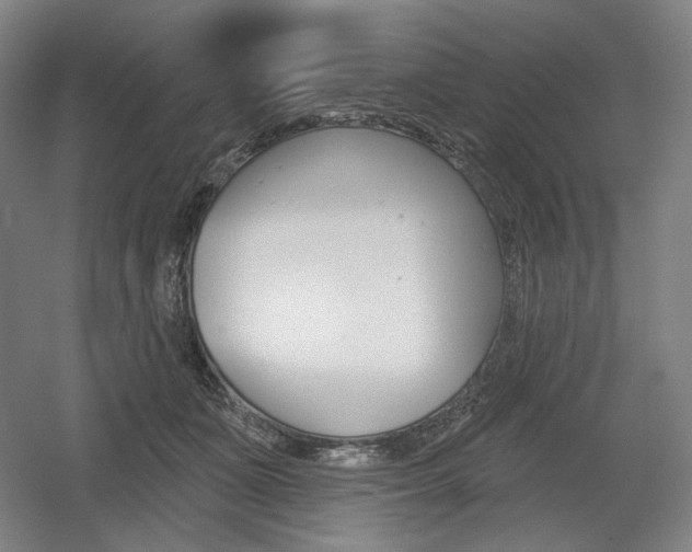 X0000055970511200508190707
