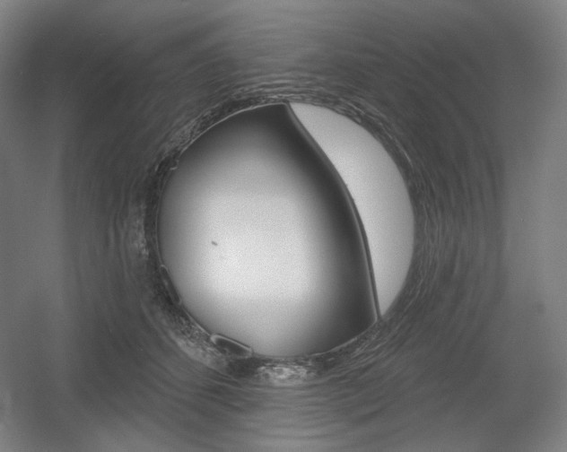 X0000055970512200508190707