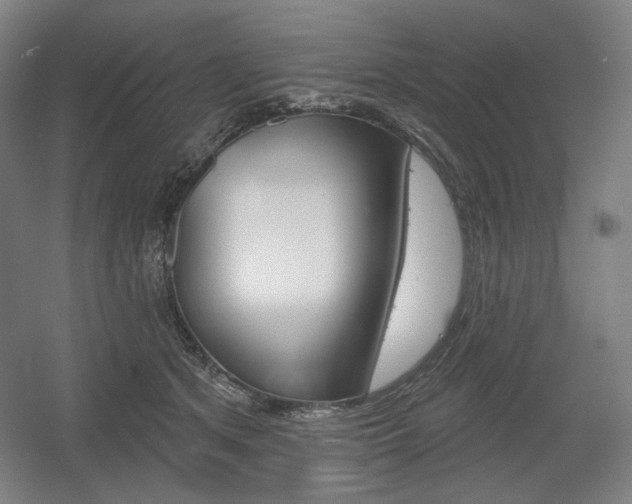 X0000055970513200508190707