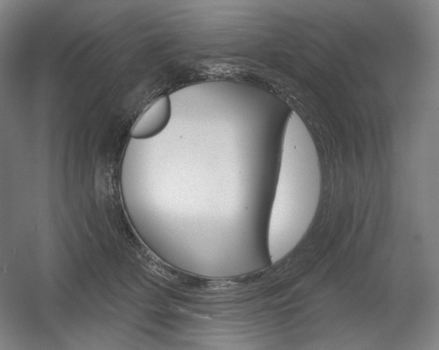 X0000055970514200508190707
