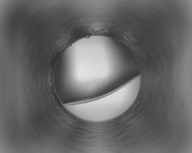 X0000055970515200508190707