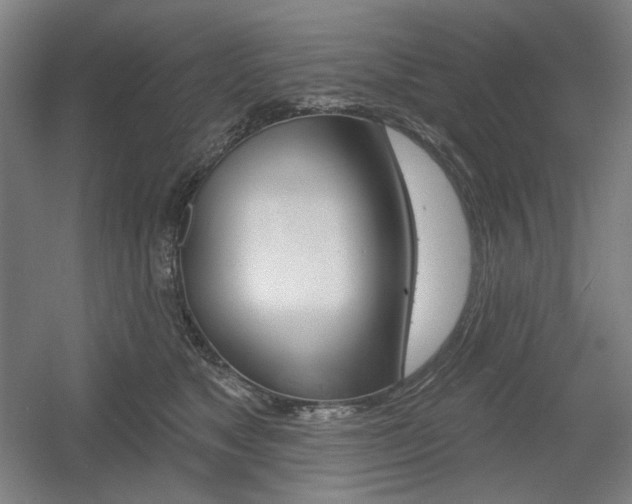 X0000055970517200508190707