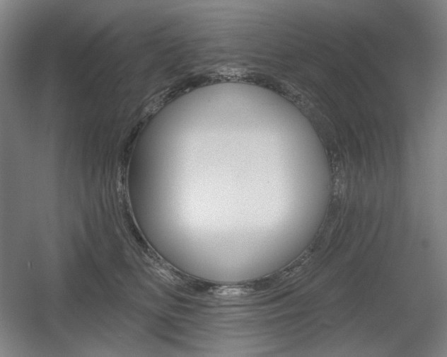 X0000055970518200508190706