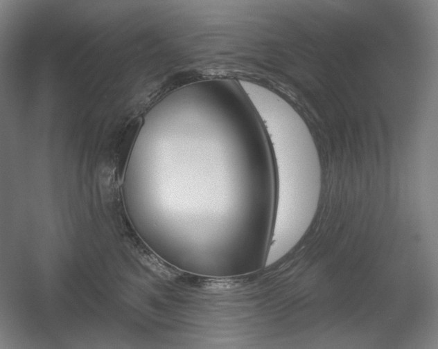 X0000055970521200508190706