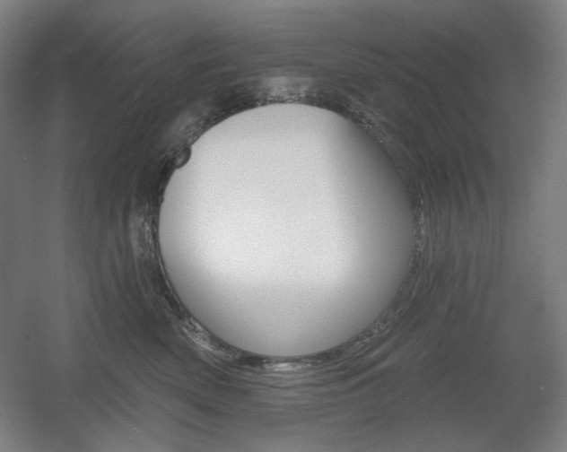 X0000055970522200508190706