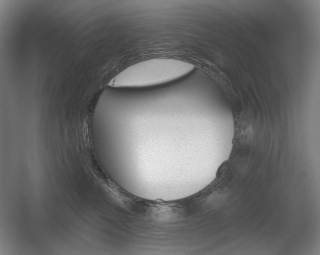 X0000055970523200508190706