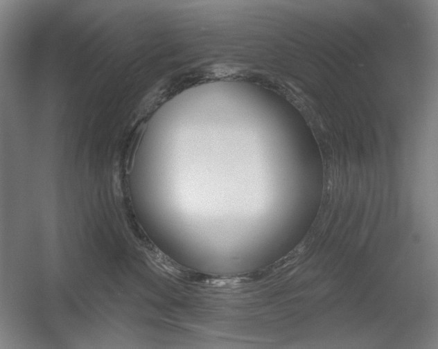 X0000055970524200508190706