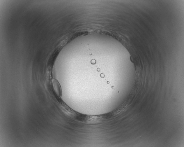 X0000055970527200508190706