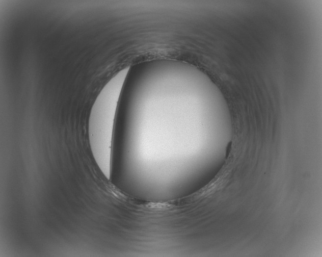 X0000055970528200508190706