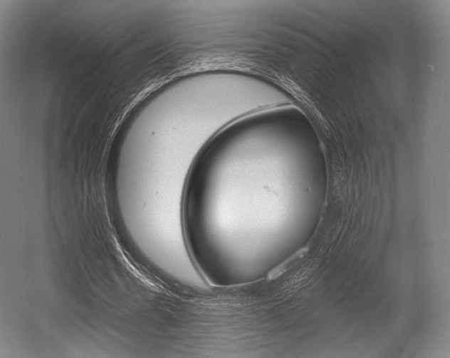 X0000055970530200508190706