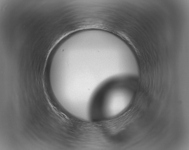 X0000055970532200508190706