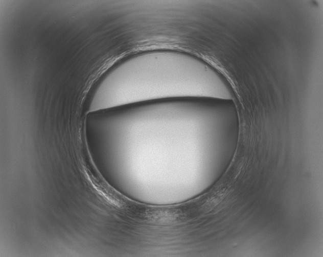 X0000055970533200508190706