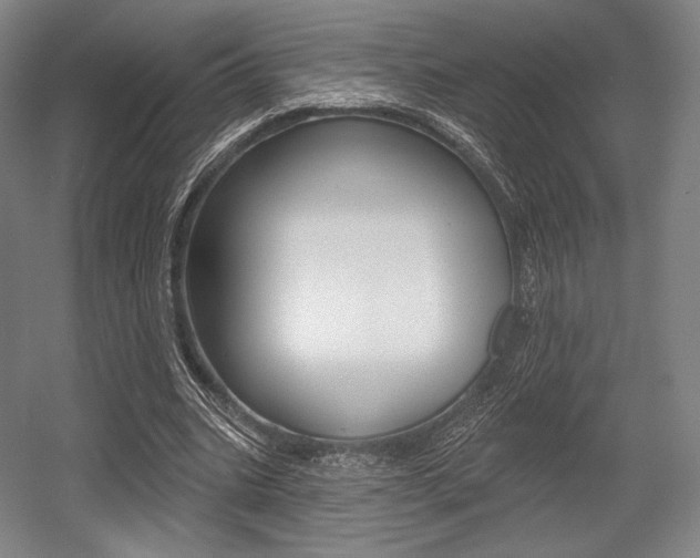 X0000055970535200508190706