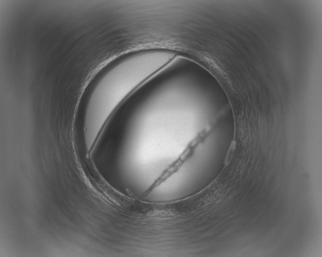 X0000055970536200508190706