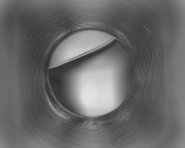 X0000055970538200508190706