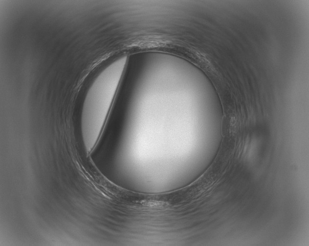 X0000055970539200508190706