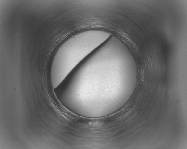 X0000055970541200508190706