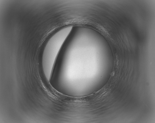 X0000055970542200508190706