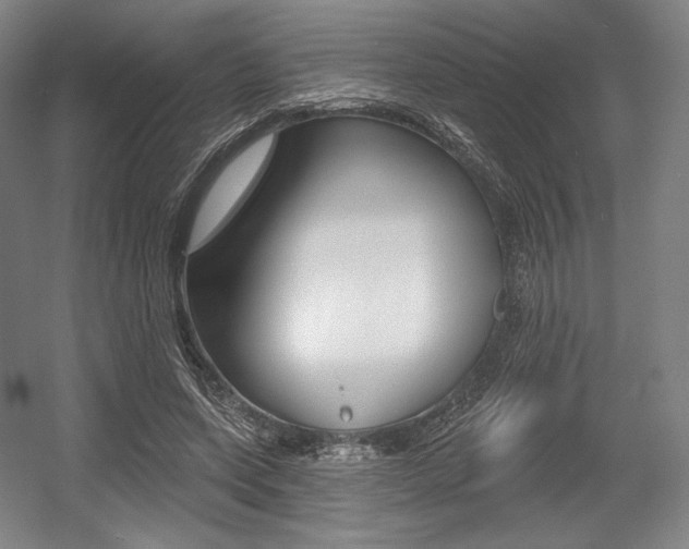 X0000055970543200508190706