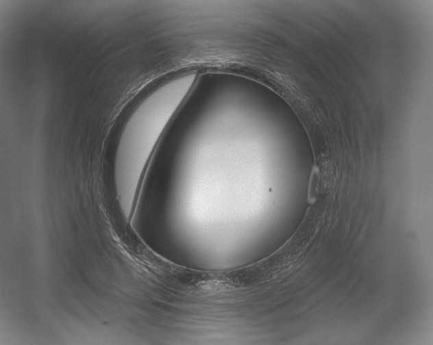 X0000055970544200508190706
