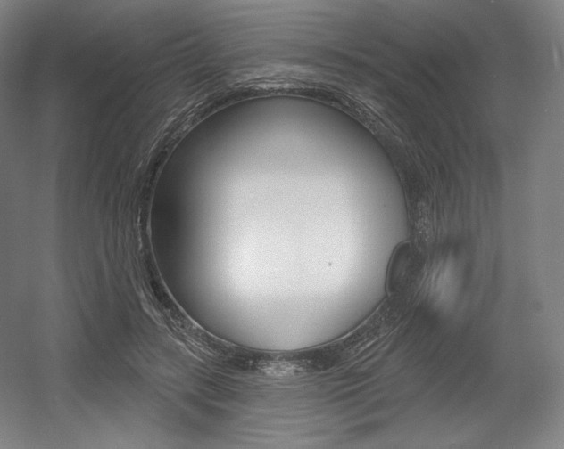 X0000055970547200508190706